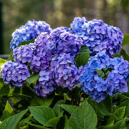 Atputas Vieta Braltirumi Purciems 外观 照片